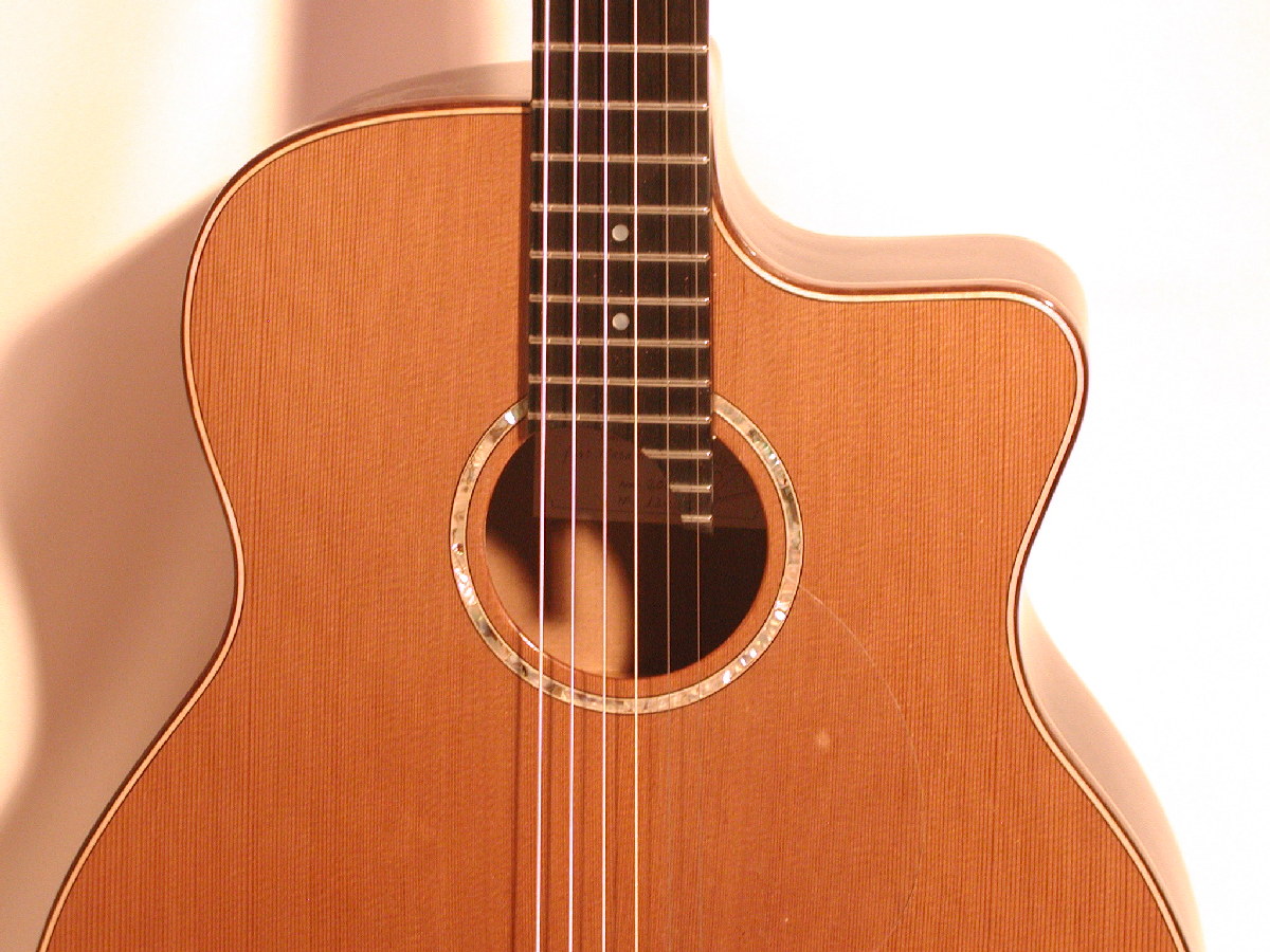 Looks as a traditional guitar